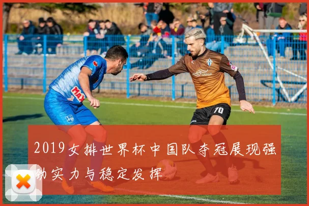 2019女排世界杯中国队夺冠展现强劲实力与稳定发挥