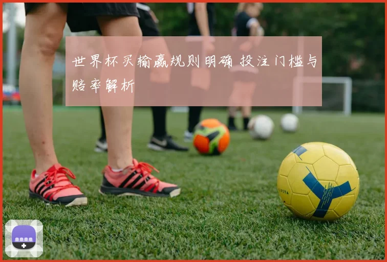世界杯买输赢规则明确 投注门槛与赔率解析