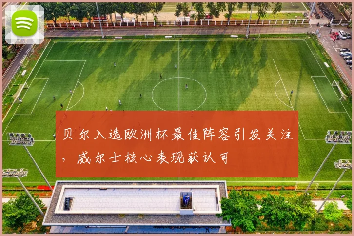 贝尔入选欧洲杯最佳阵容引发关注,威尔士核心表现获认可